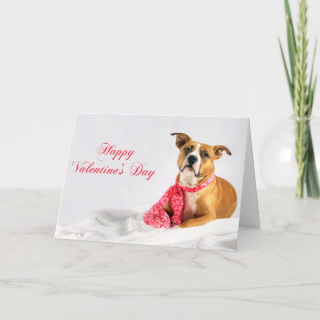 Happy Valentines Day Pitbull Puppy Holiday Card (Front)