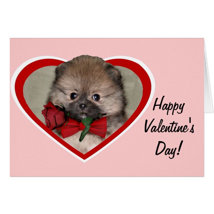 Happy Valentine's Day Pomeranian Greeting Card