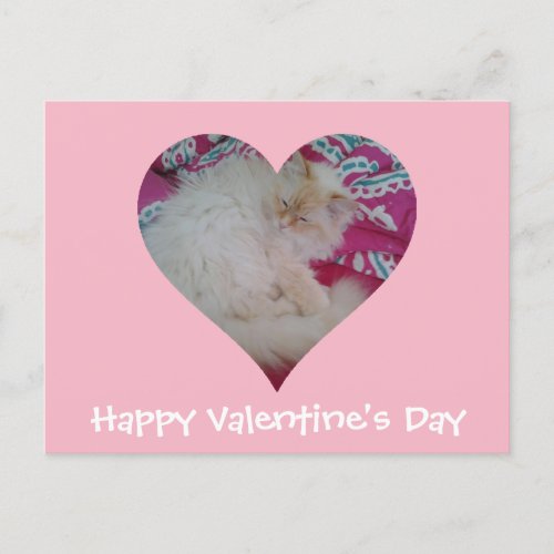 Happy Valentines Day Postcard