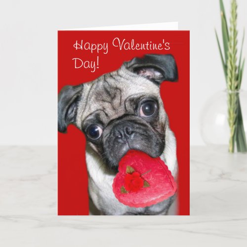 Happy Valentines Day pug greeting card