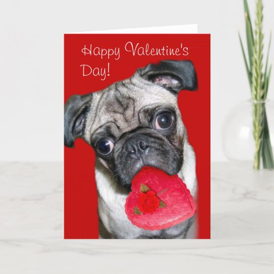 happy-valentine-s-day-pug-greeting-card-zazzle