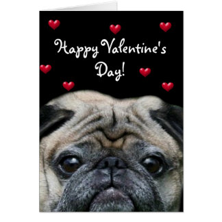 Pug Valentine Gifts on Zazzle