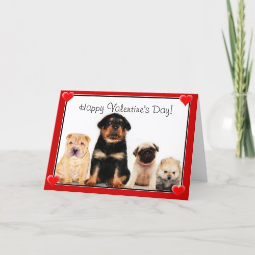 Happy Valentines Day puppies Holiday Card