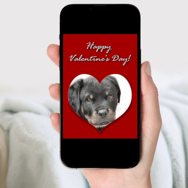 Happy Valentine's Day Rottweiler Card | Zazzle