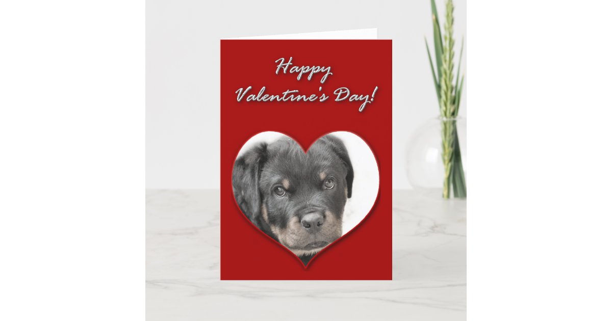 Happy Valentine's Day Rottweiler Card | Zazzle