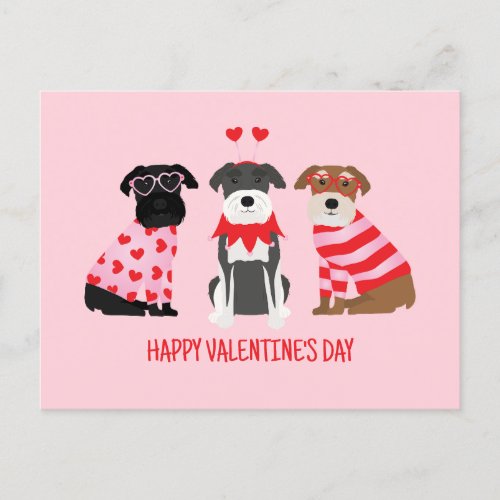 Happy Valentines Day Schnauzer Dogs Holiday Postcard