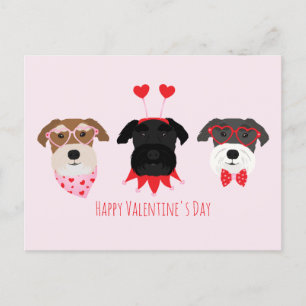 Happy Valentines Day Schnauzer Dogs Postcard