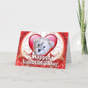 Happy Valentines Day Schnoodle Holiday Card