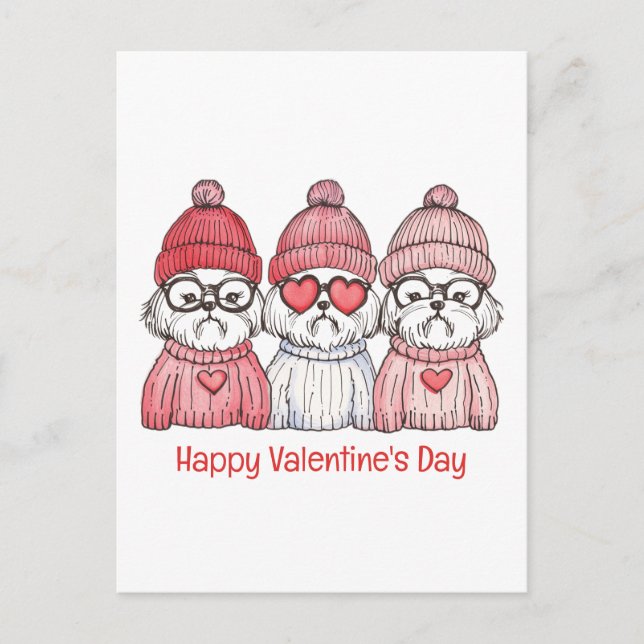 Happy Valentines Day Shih Tzu Dogs Postcard (Front)