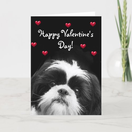 Happy Valentines Day Shih Tzu greeting card
