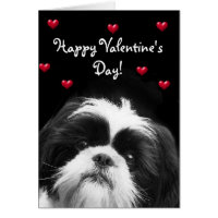 Happy Valentine's Day Shih Tzu greeting card