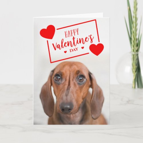 Happy Valentines Day  Sweet Dachshund Puppy Card