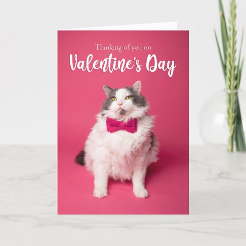 Happy Valentines Day Thinking of You Cute Cat Holiday Card