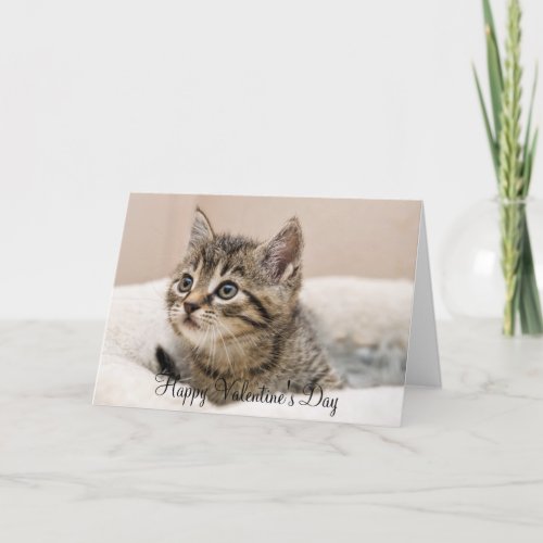 Happy Valentines Day Tiger Kitten Greeting Card