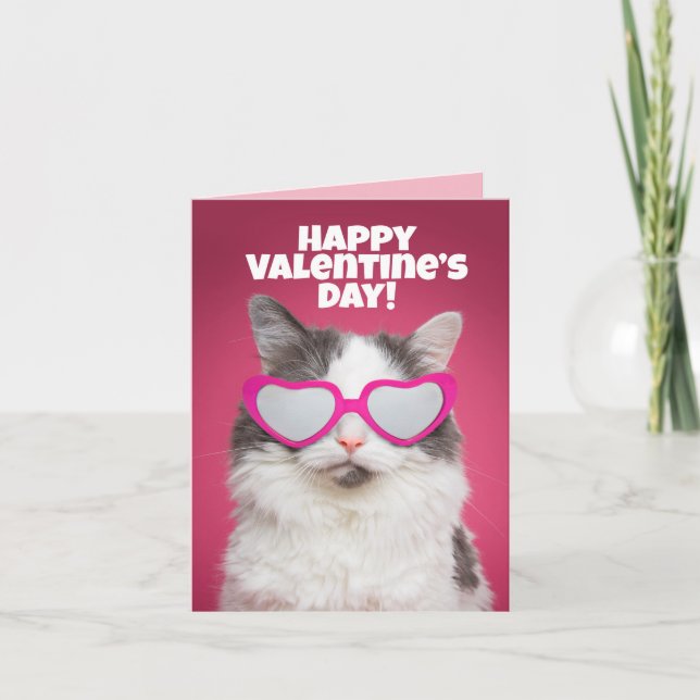Happy Valentine's Day to Anyone Funny Cat Humor Card (Front)