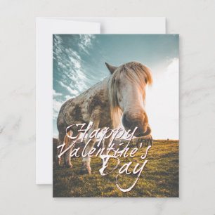 Happy Valentine's day with looking Horse