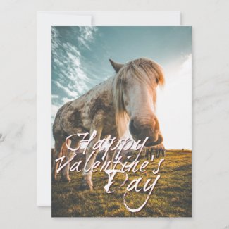 Happy Valentine's day with looking Horse