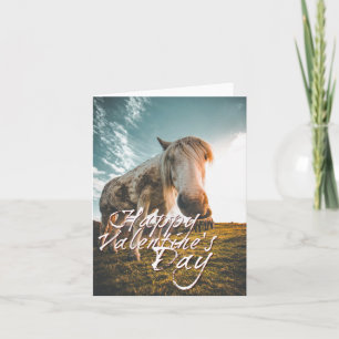 Happy Valentine's day with looking Horse Card