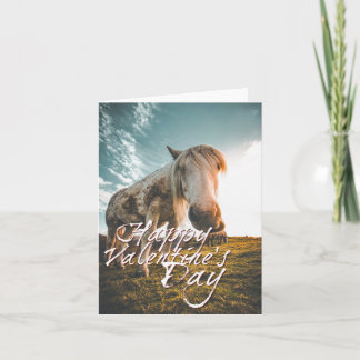 Happy Valentine's day with looking Horse Card