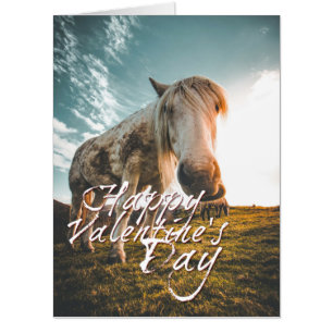 Happy Valentine's day with looking Horse Card
