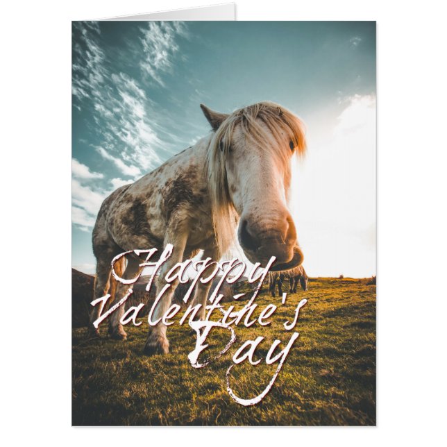 Happy Valentine's day with looking Horse Card (Front)