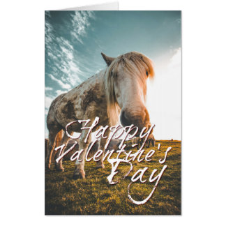 Happy Valentine's day with looking Horse Card