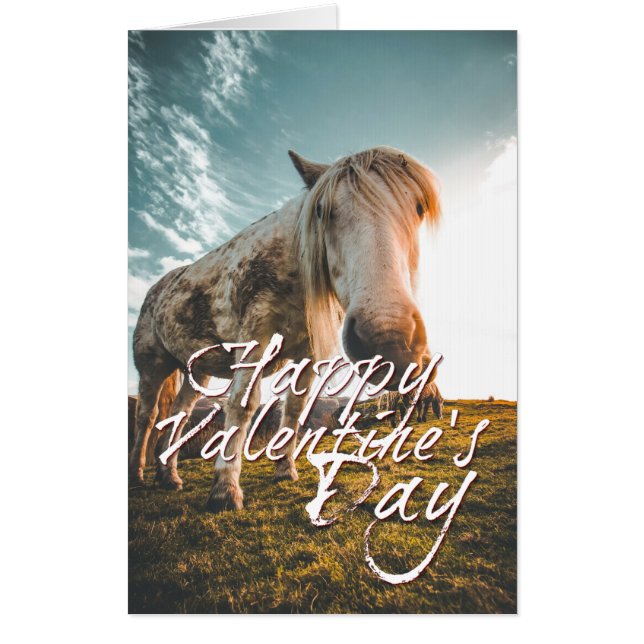 Happy Valentine's day with looking Horse Card (Front)