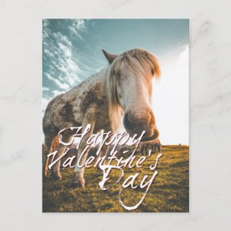 Happy Valentine's day with looking Horse Holiday Postcard
