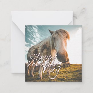 Happy Valentine's day with looking Horse Note Card