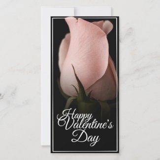 Happy Valentine's Day with pink rose