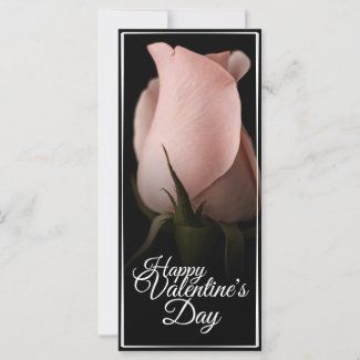 Happy Valentine's Day with pink rose