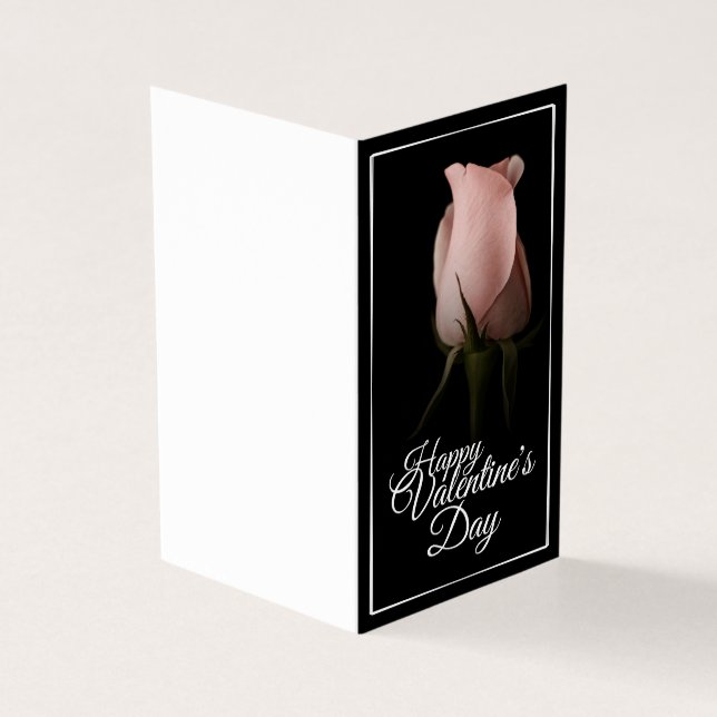 Happy Valentine's Day with pink rose (Outside)