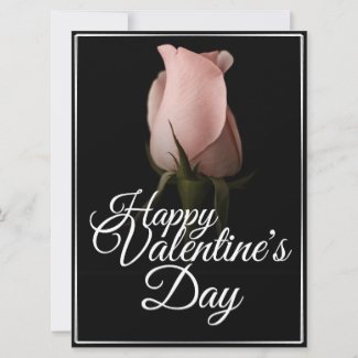 Happy Valentine's Day with pink rose