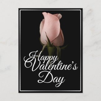 Happy Valentine's Day with pink rose