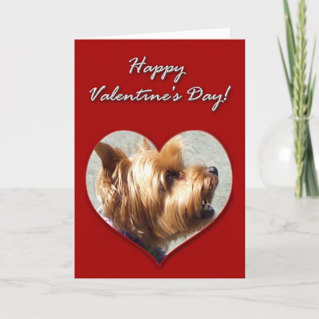 Happy Valentine's Day Yorkshire Terrier Card (Front)