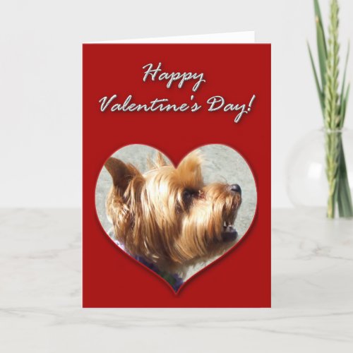 Happy Valentines Day Yorkshire Terrier Card