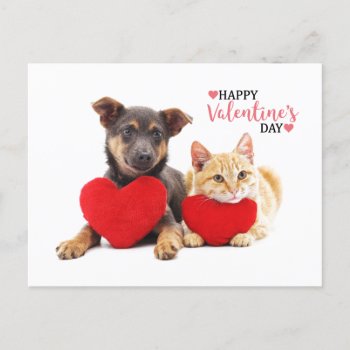Happy Valentine's Dog And Cat Holiday Postcard by paul68 at Zazzle