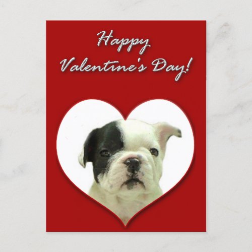 Happy Valentines  French Bulldog puppy postcard