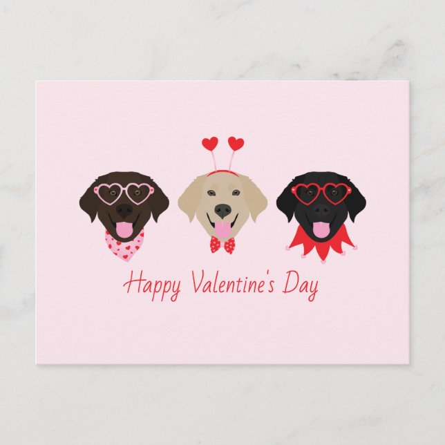 Happy Valentines Labrador Retriever Dogs Holiday Postcard (Front)