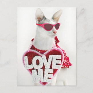 Happy Valentine's Postcard by Skeezix the Cat