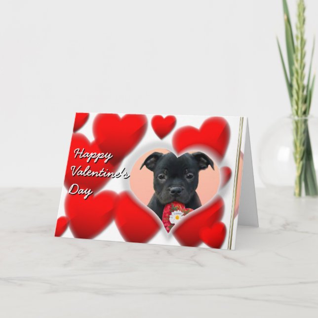 Happy Valentine's Staffordshire Bull Terrier  Card (Front)