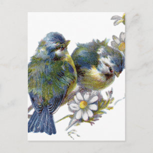 Happy Vintage Birds Postcard