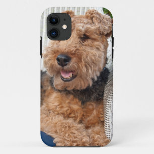 happy Welsh Terrier iPhone 11 Case
