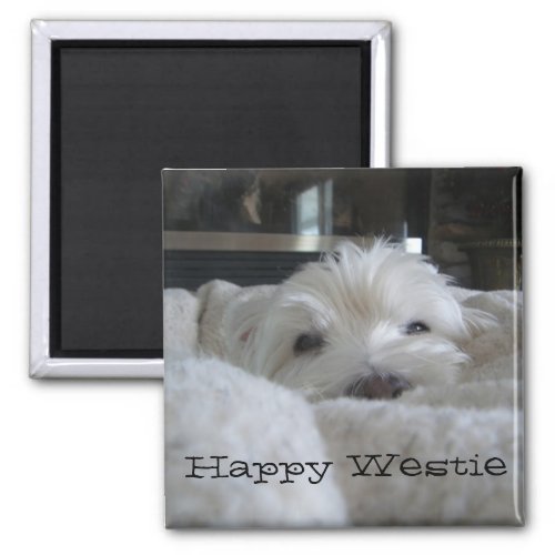 Happy Westie Photo Magnet