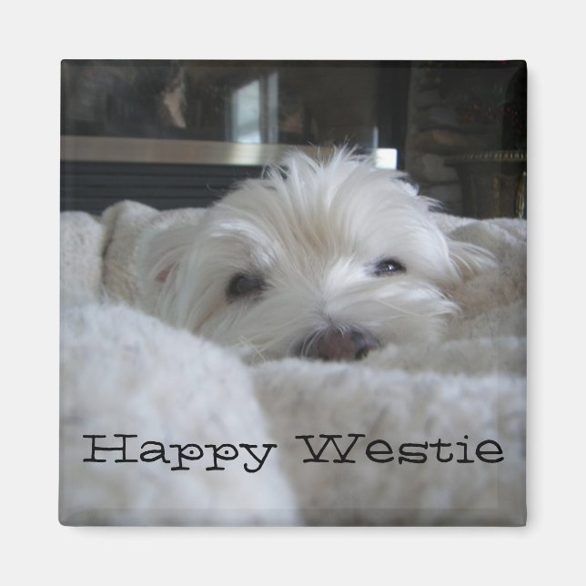 Happy Westie Photo Magnet (Front)