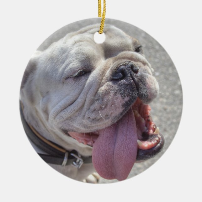 Happy White Bulldog Ceramic Ornament (Front)