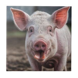 Happy White Pig Tongue Poke,  Ceramic Tile