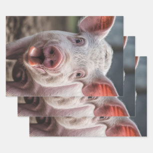 Happy White Pig Tongue Poke,  Wrapping Paper Sheets