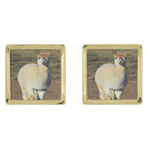 Happy White Woolly Alpaca, Cufflinks