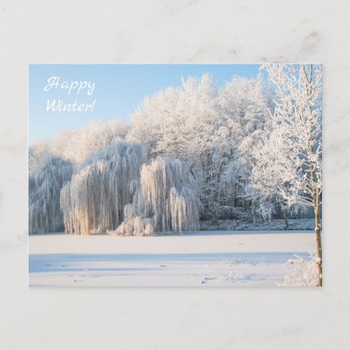 Happy Winter Snow Photo Postcard
